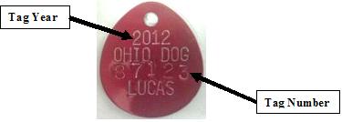 Sample Dogtag Display